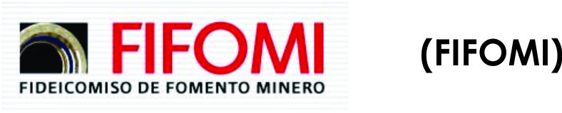 fifomi